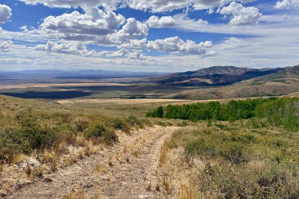 North Fork Pratt Extension - FS 56158B