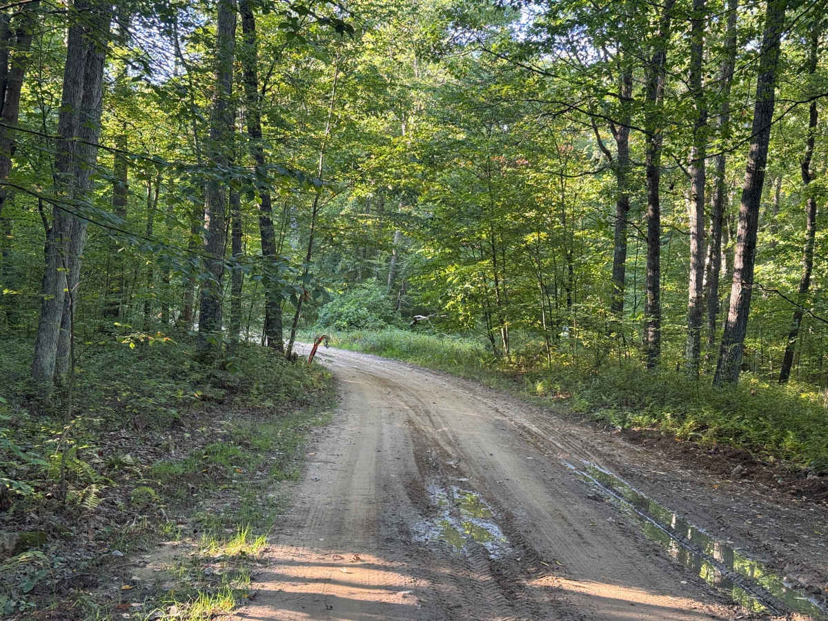 Brothwell Run - FS 625 photo 5
