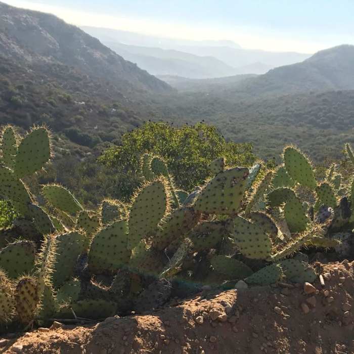 Near Beek's Place via Black Star Falls