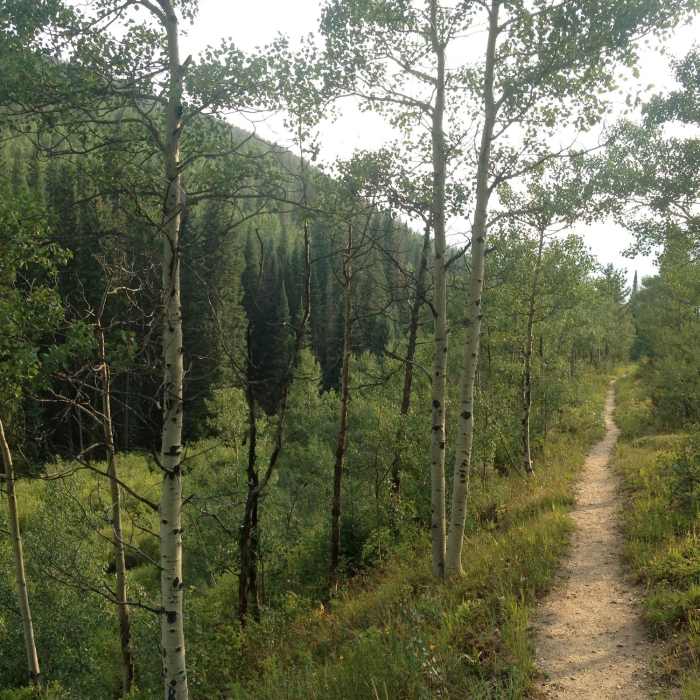 Near Game Creek Trail