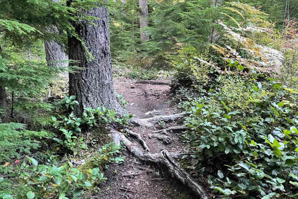 Hayden's Trail Connector
