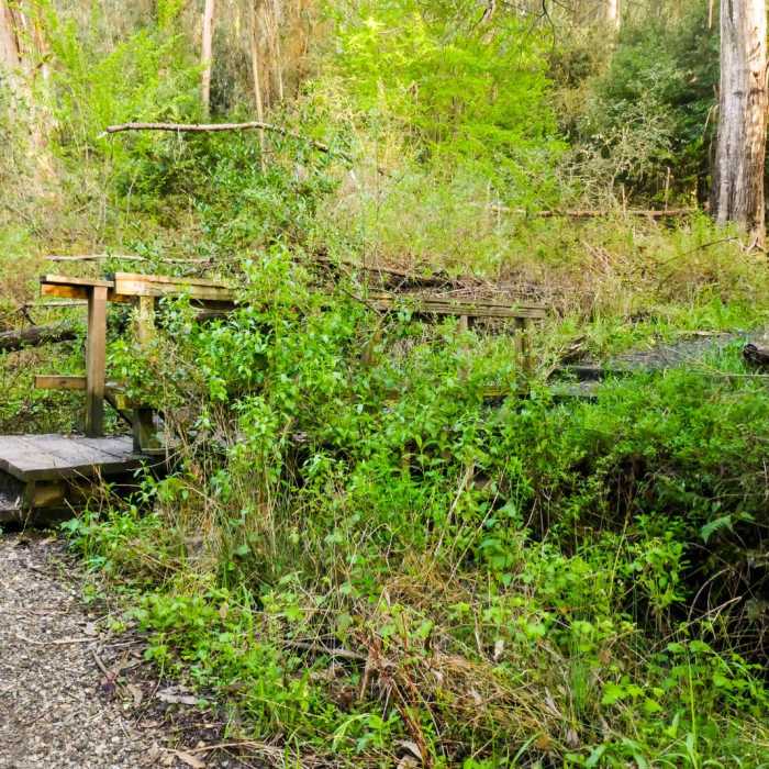 Near Jewel Lake Loop