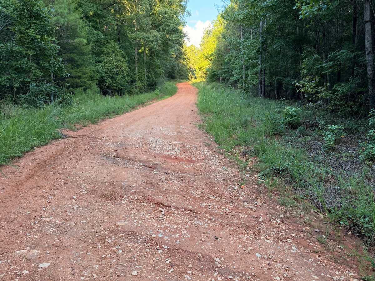 Buck Creek Road photo 6