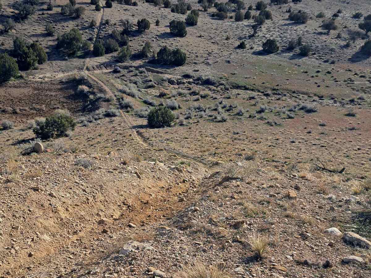 BLM Trail 106 photo 3