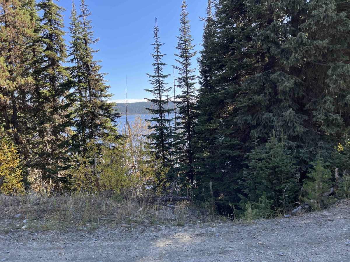 Blair Road Access to Snowmobile Trails photo 3