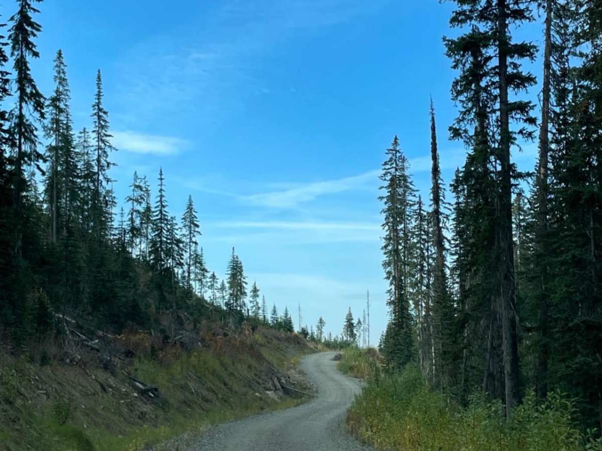 New Road Near Greystokes photo 2