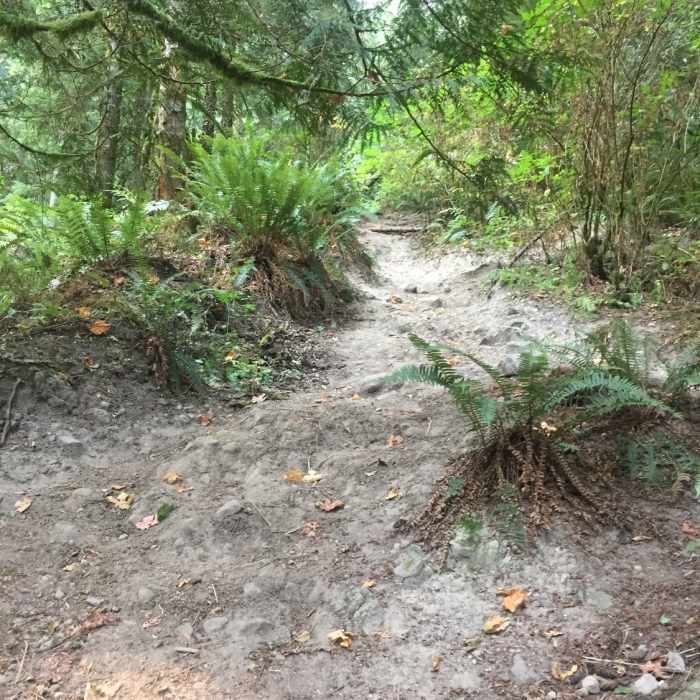 Near Cable Line Trail