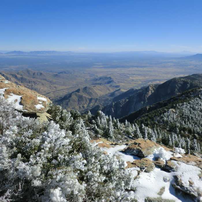 December is fine time to hike Rincon Peak. Near Rincon Peak