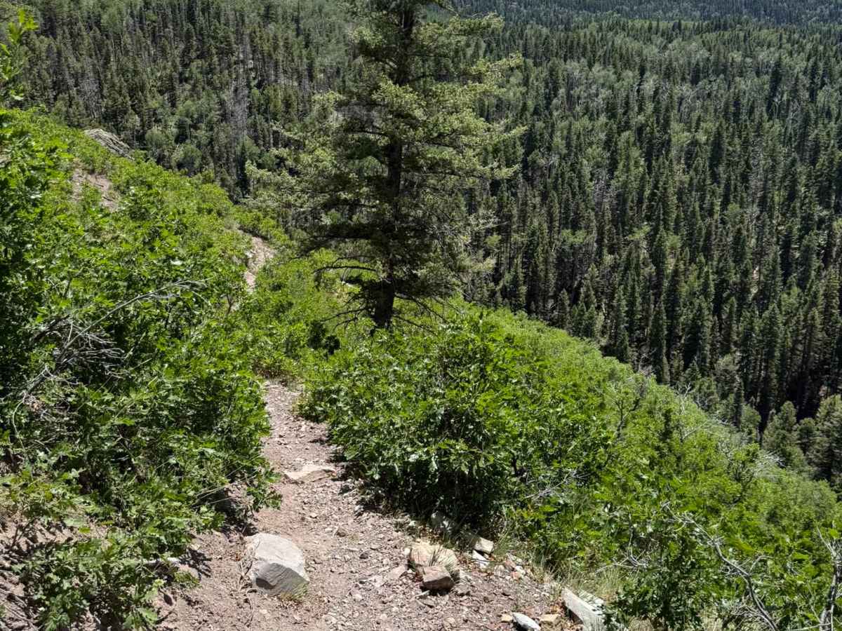 Red Ledges Access Trail No.160 photo 5
