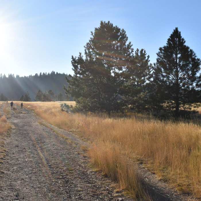 Near Vista Point Loop (Blue Mountain)