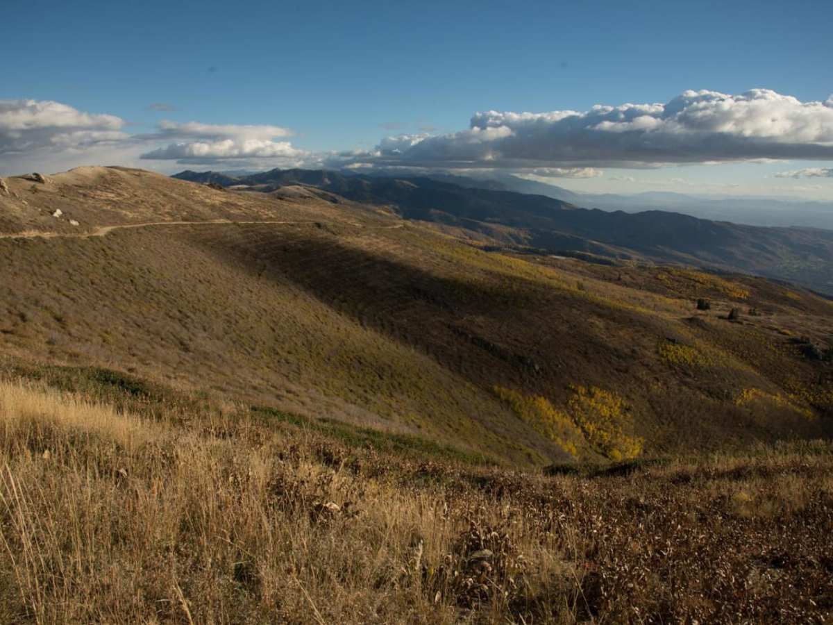 Skyline Drive photo 6