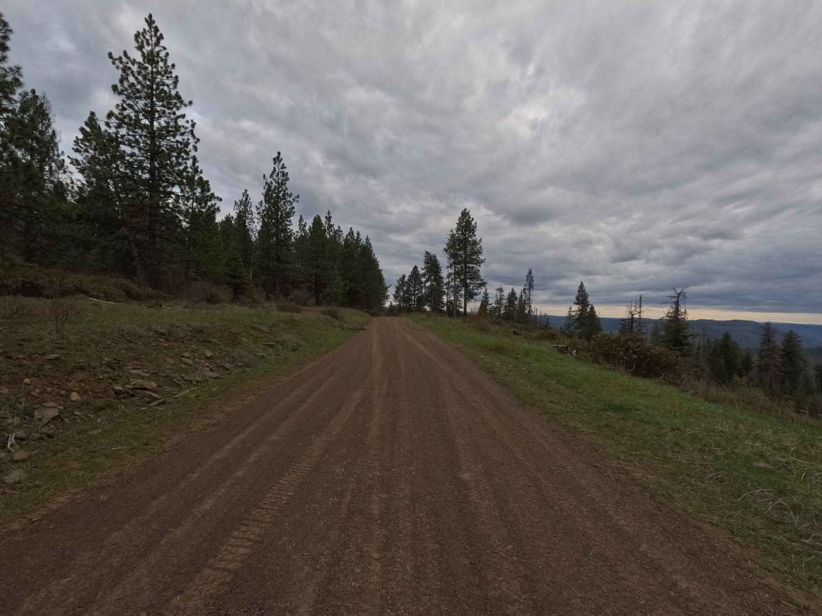 Eden Lane - FS 6212 photo 6