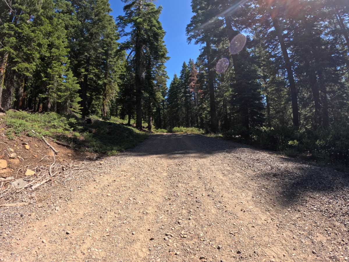 Martis Tie - FS 16N56 trail photo