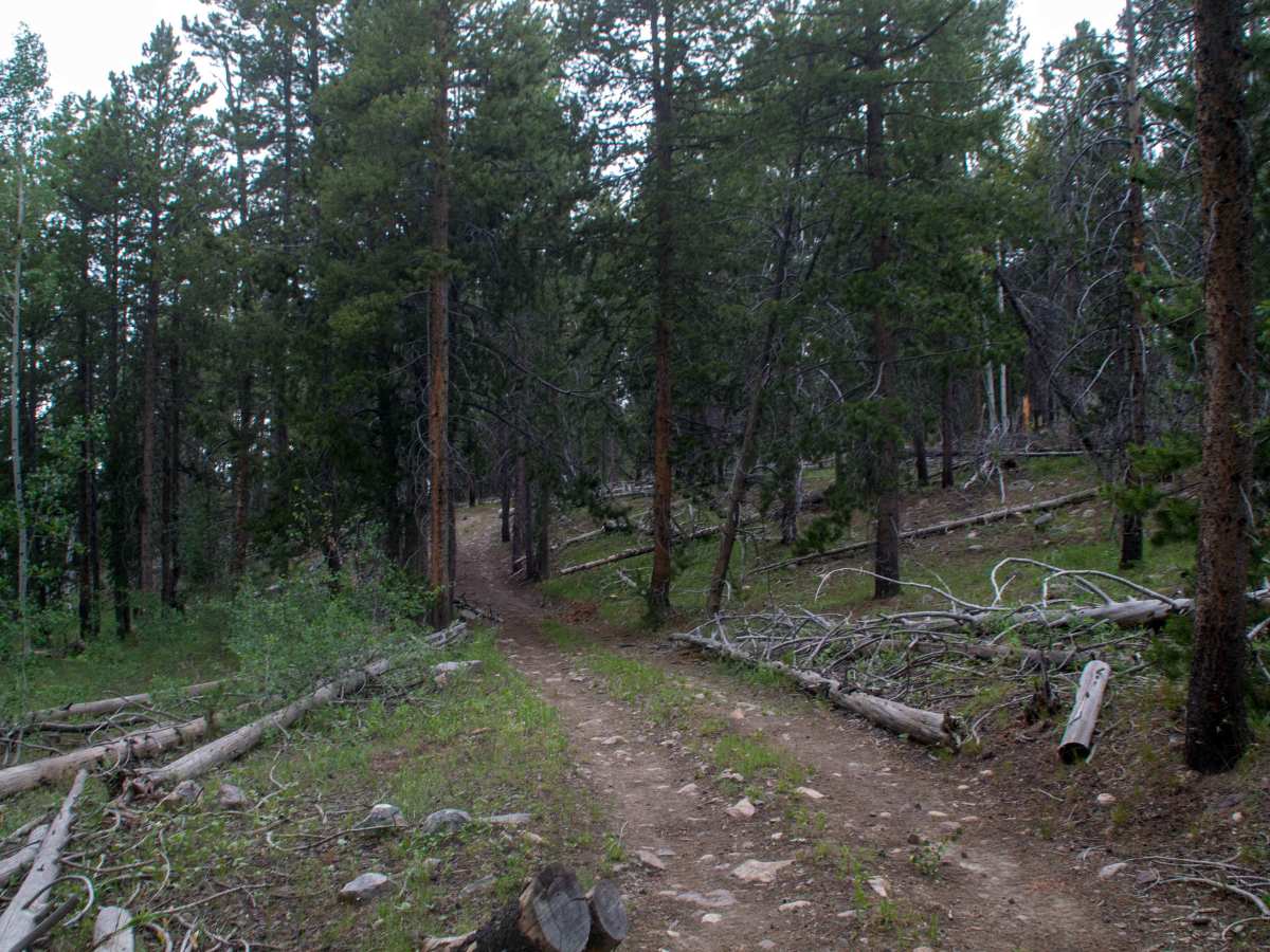 Alexander Loop - FR80940 photo 5