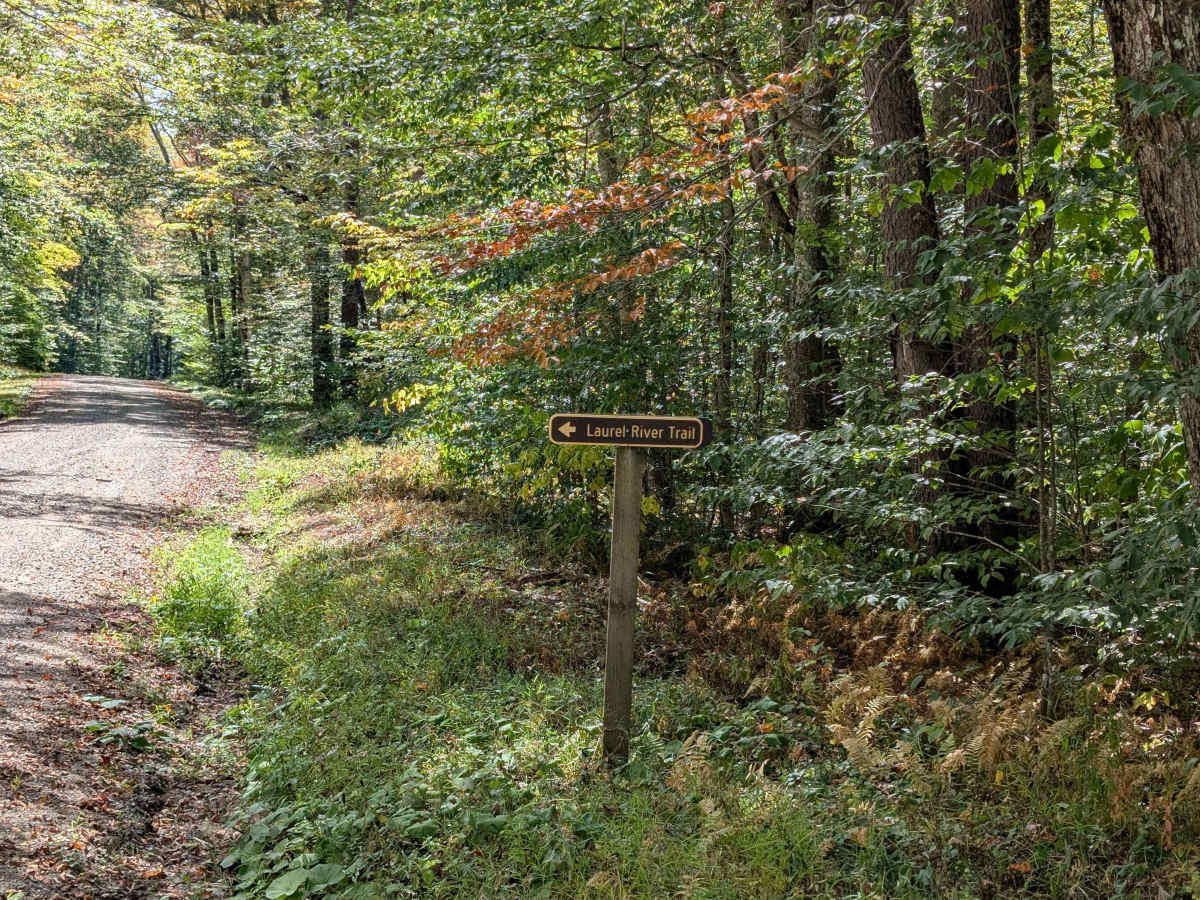 Little River Connector photo 4
