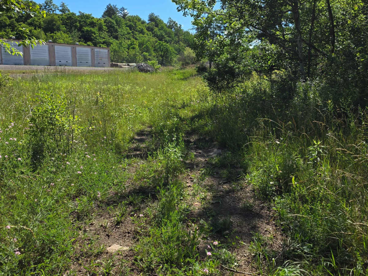 Single Track T photo 3