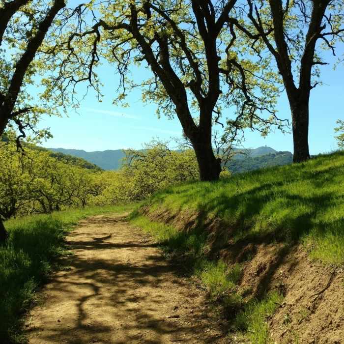 Near Rancho San Vicente Loop