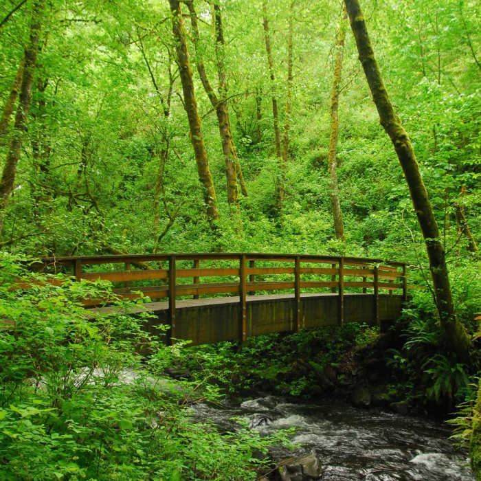 Near Bridal Veil Falls, Oregon
