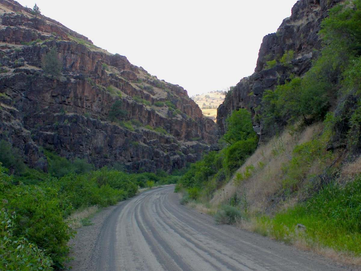 South Fork Road photo 6