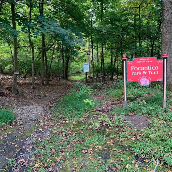 Near Pocantico Park Loop