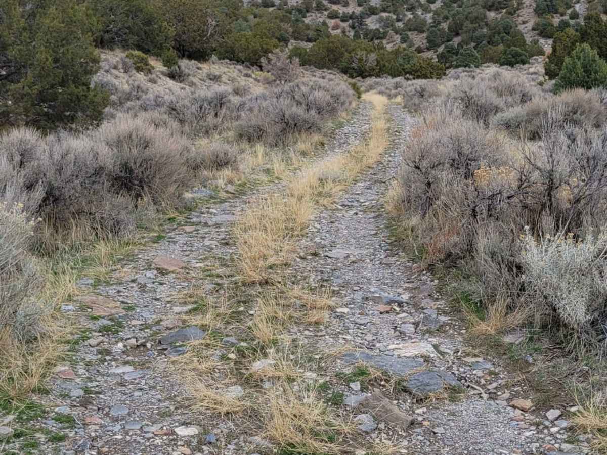 Dip Gulch Road photo 4