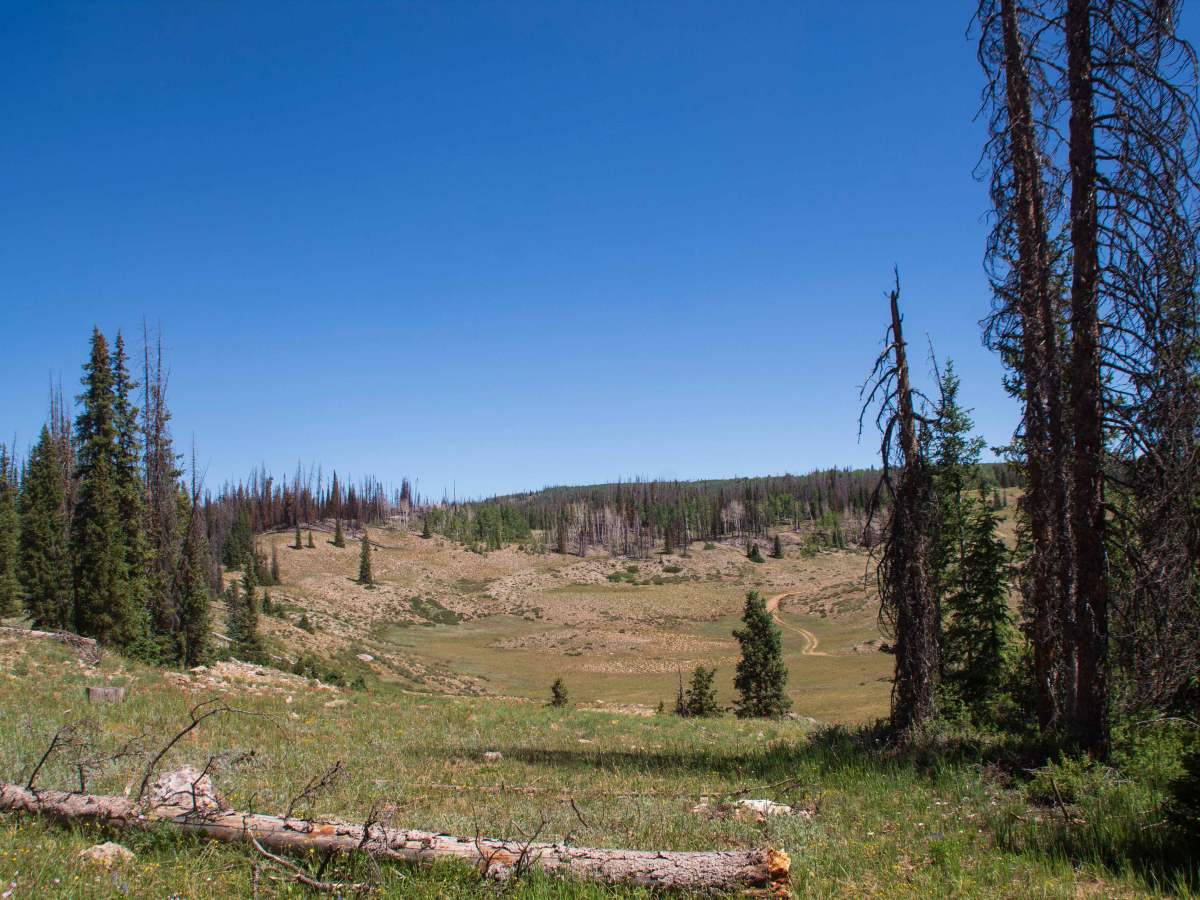 Rhodes Canyon trail photo