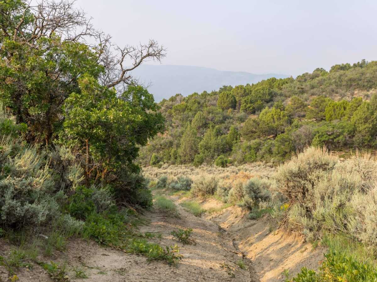 Wide Hollow photo 4