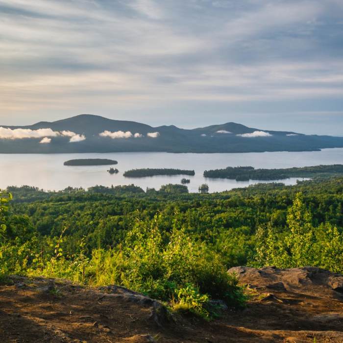 Near The Pinnacle Near The Pinnacle