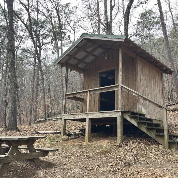 Near Pinhoti Trail (Section 1)
