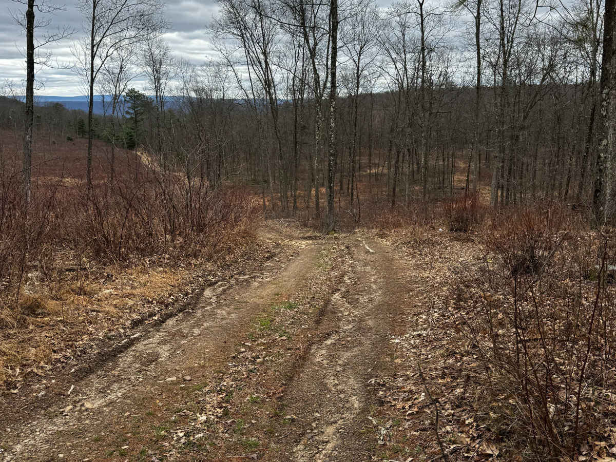 Bartley Hollow Road photo 3