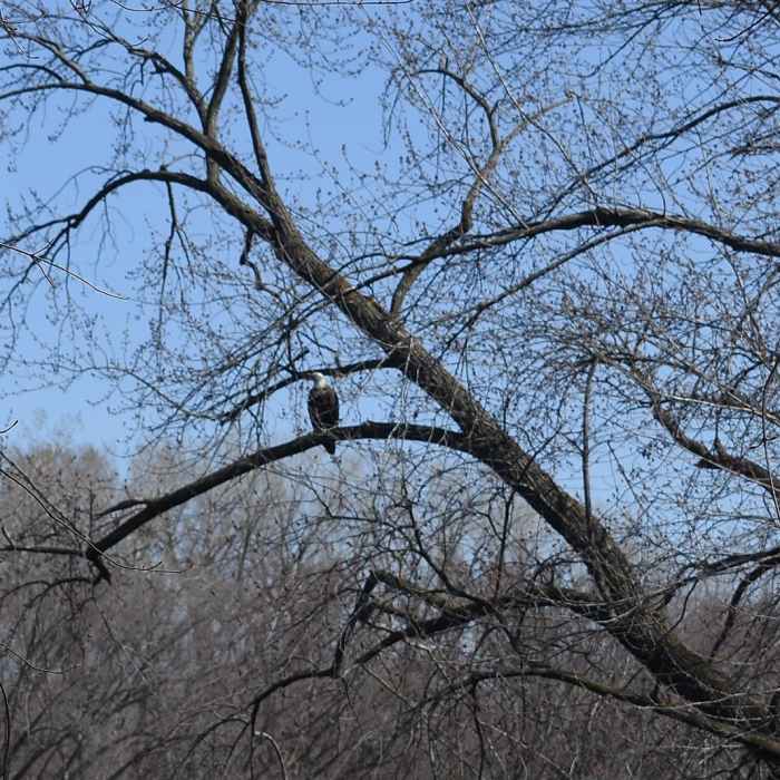 Near Pike Island Loop Near Pike Island Loop