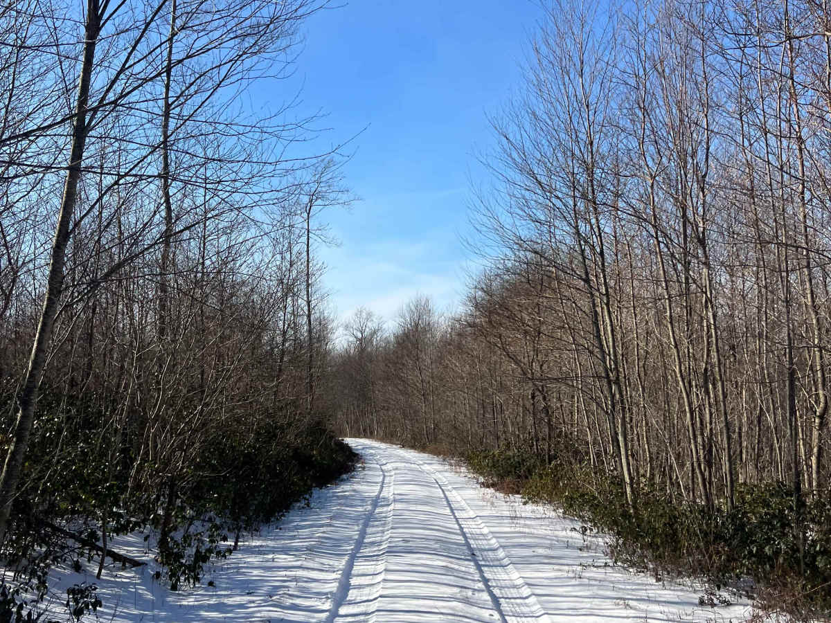 Shirk's Run Trail photo 4