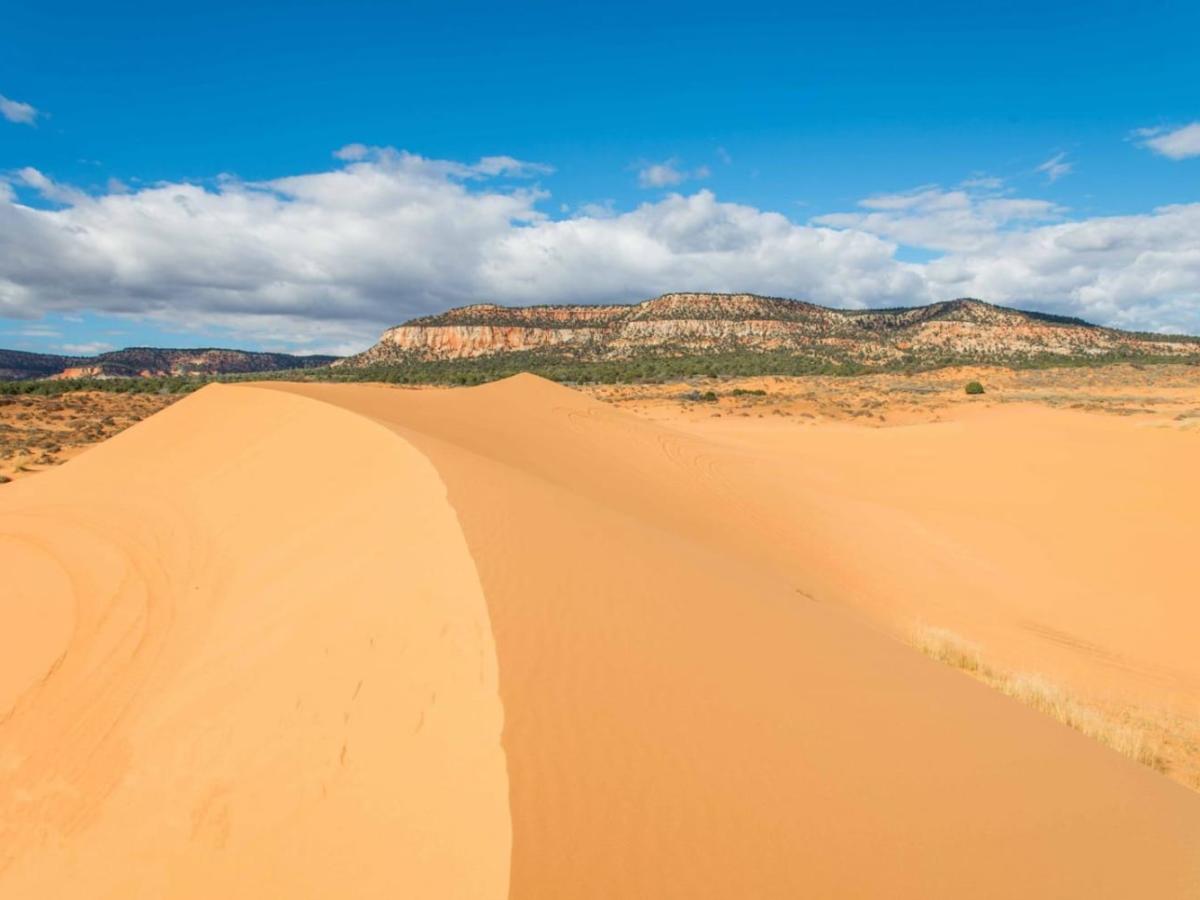 Coral Pink Sand Dunes photo 2