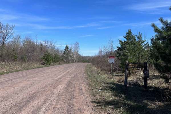 Tamarack River Forest Road