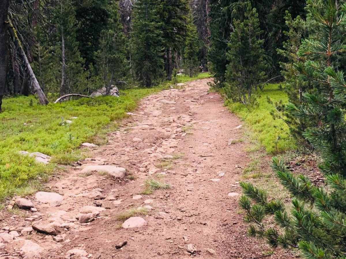 Fantan Loop to Sawtooth Lake photo 6
