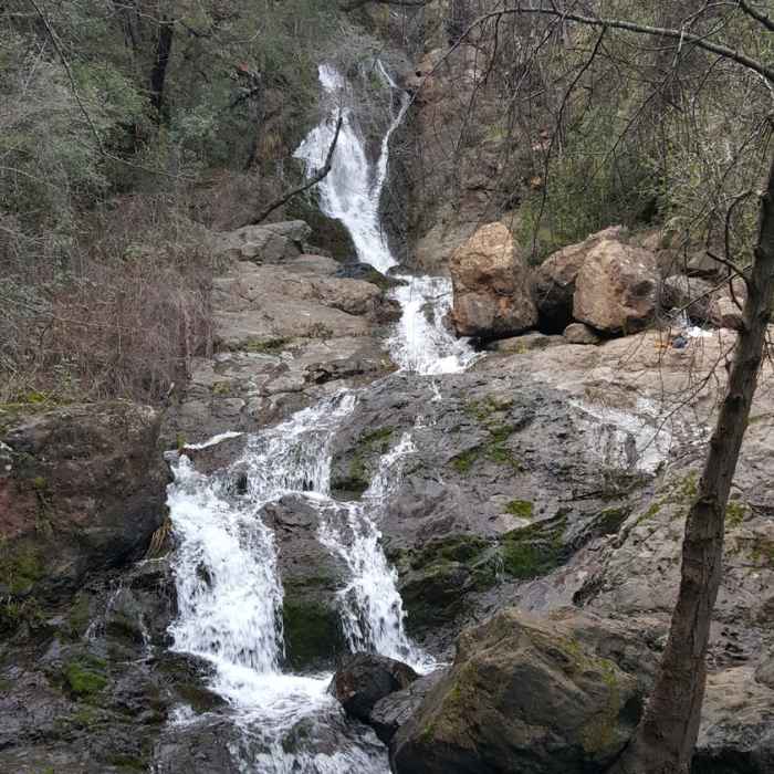 Near Codfish Creek Discovery Trail