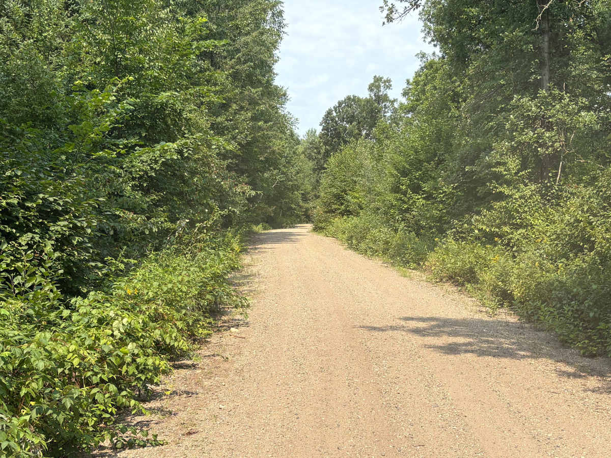 Small Lake Road photo 5