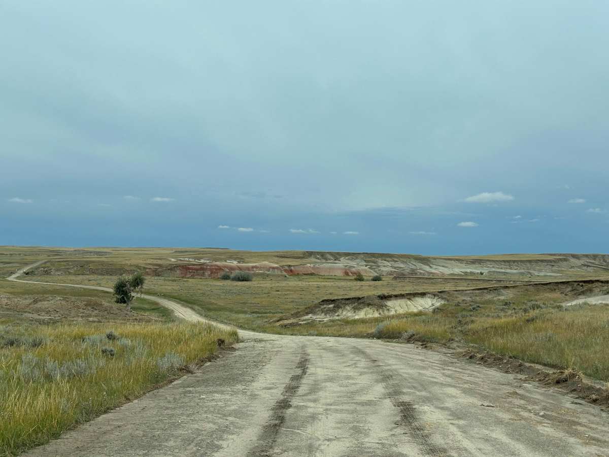 Orella Road photo 5