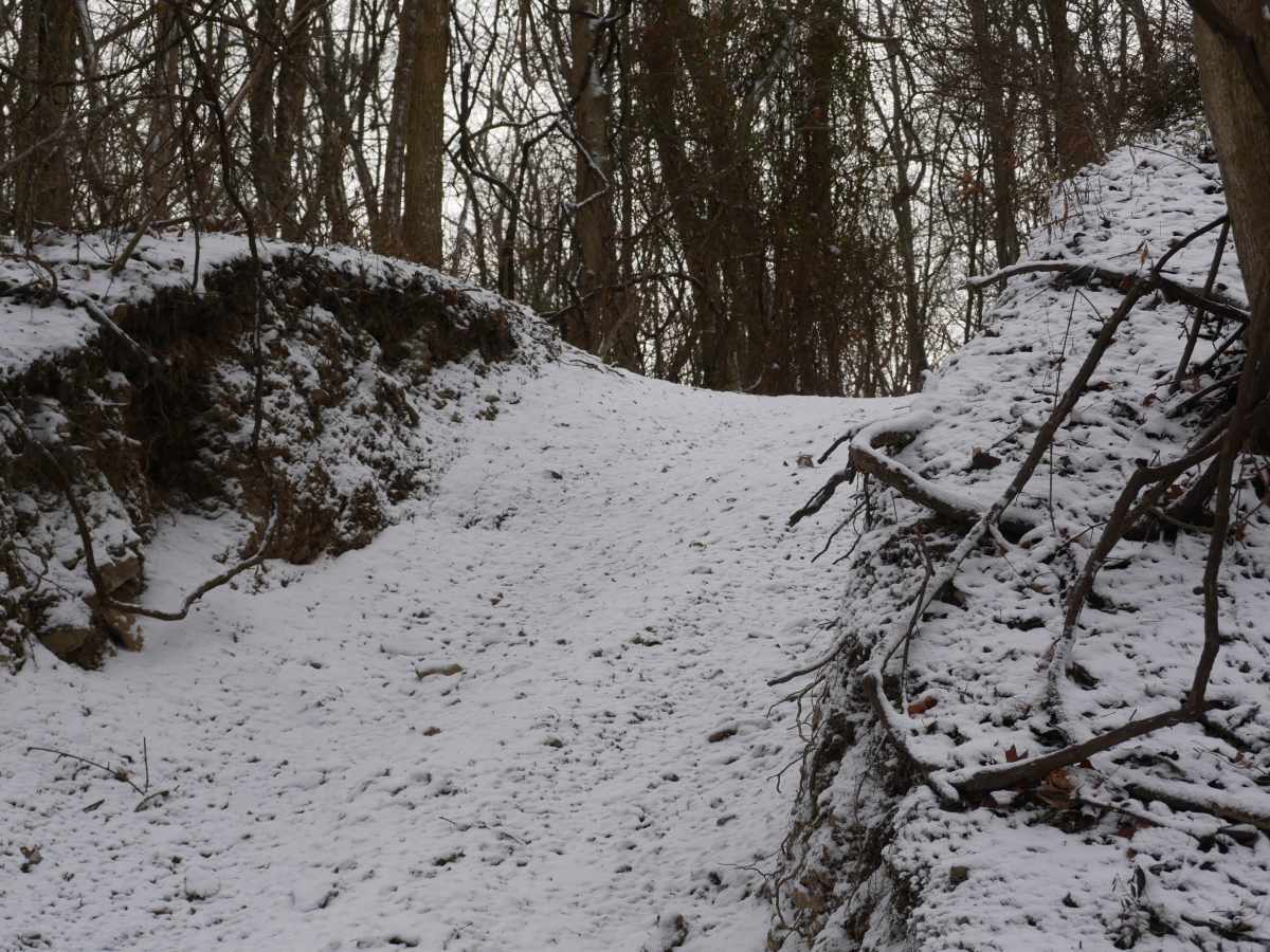 Trail 55 photo 2