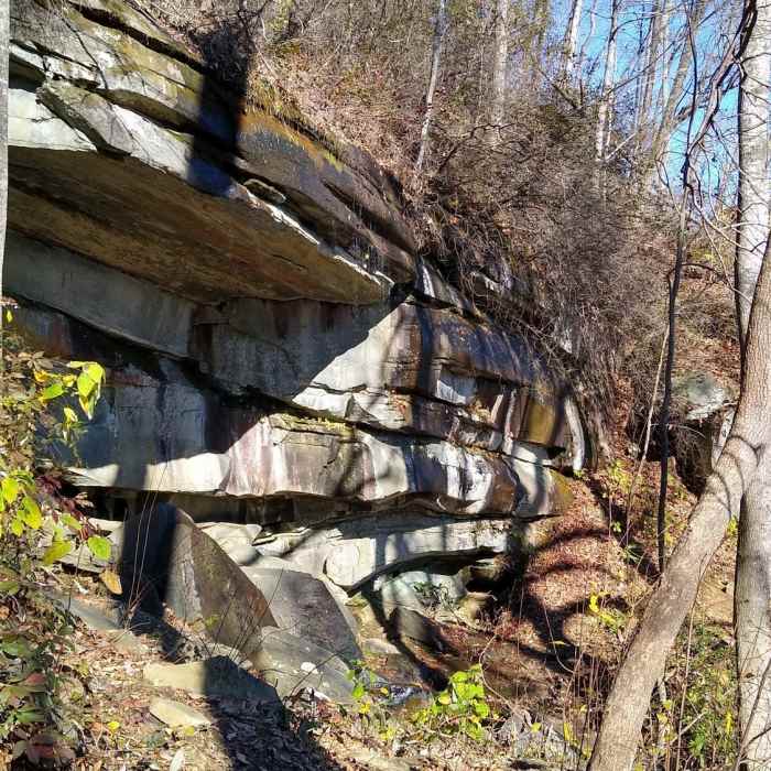 Near Pinnacle Mountain Trail
