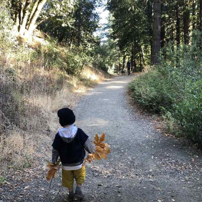 Near Schilling Lake Trail