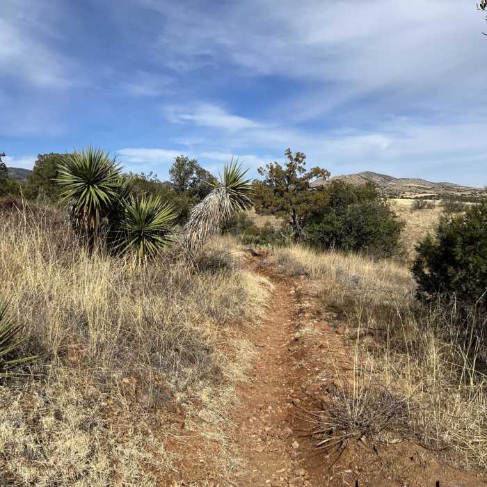 Near Arizona Trail Passage 5: Santa Rita Mountains