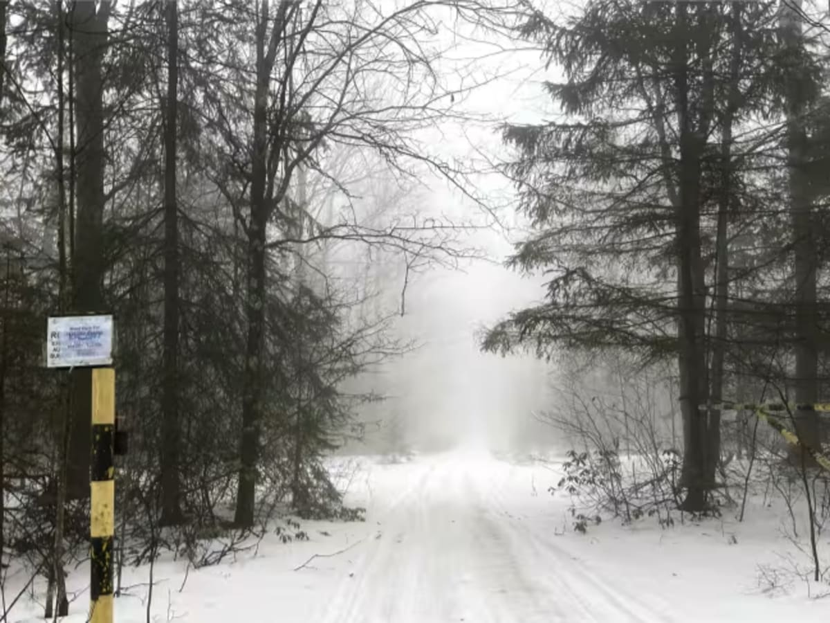 Kinney Hollow Trail photo 2