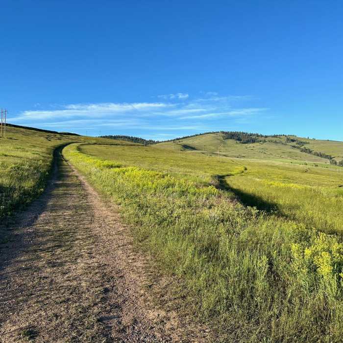 Near Bluebird Preserve Loop