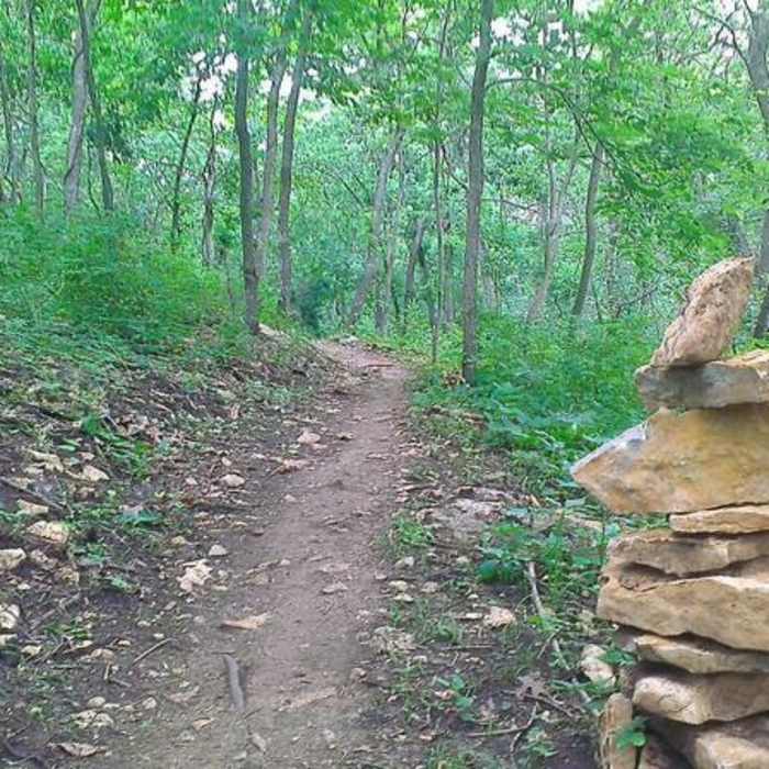 Near Red Trail