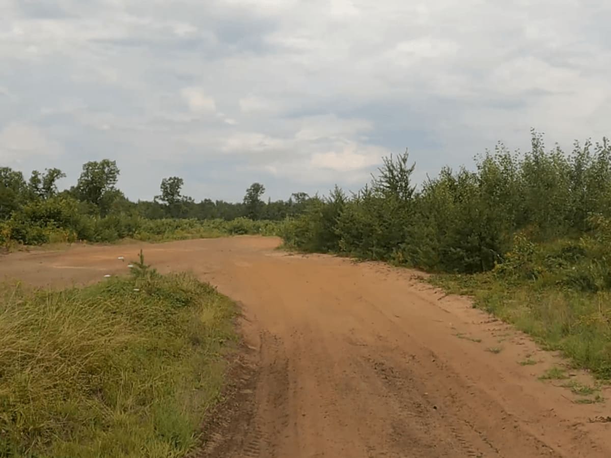 Gladwin Forest Baja photo 3