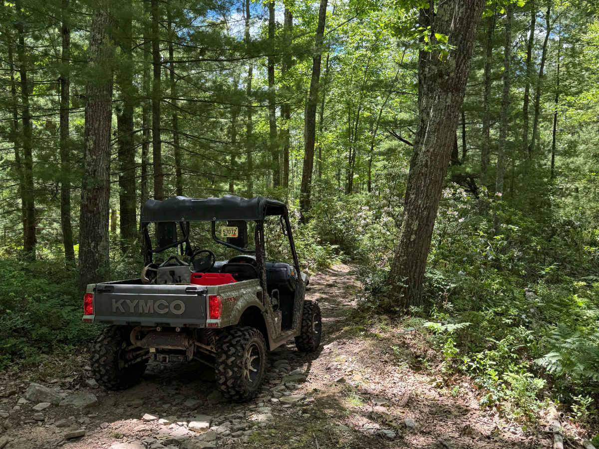 Molly's Meander trail photo