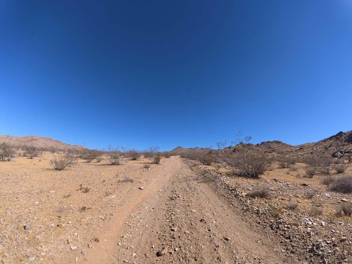 BLM 07323 photo 6