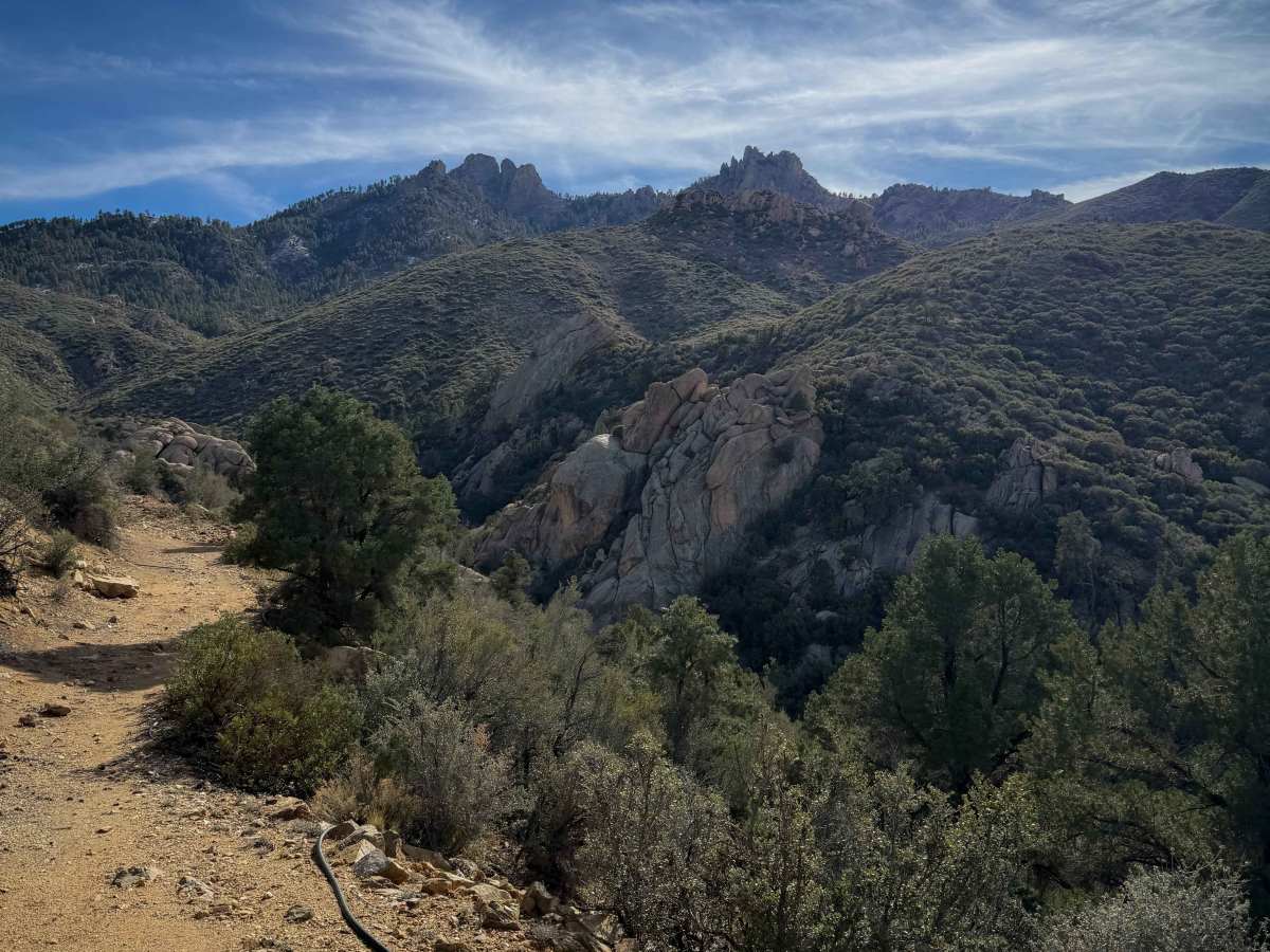 H1335/BLM 7127 photo 3