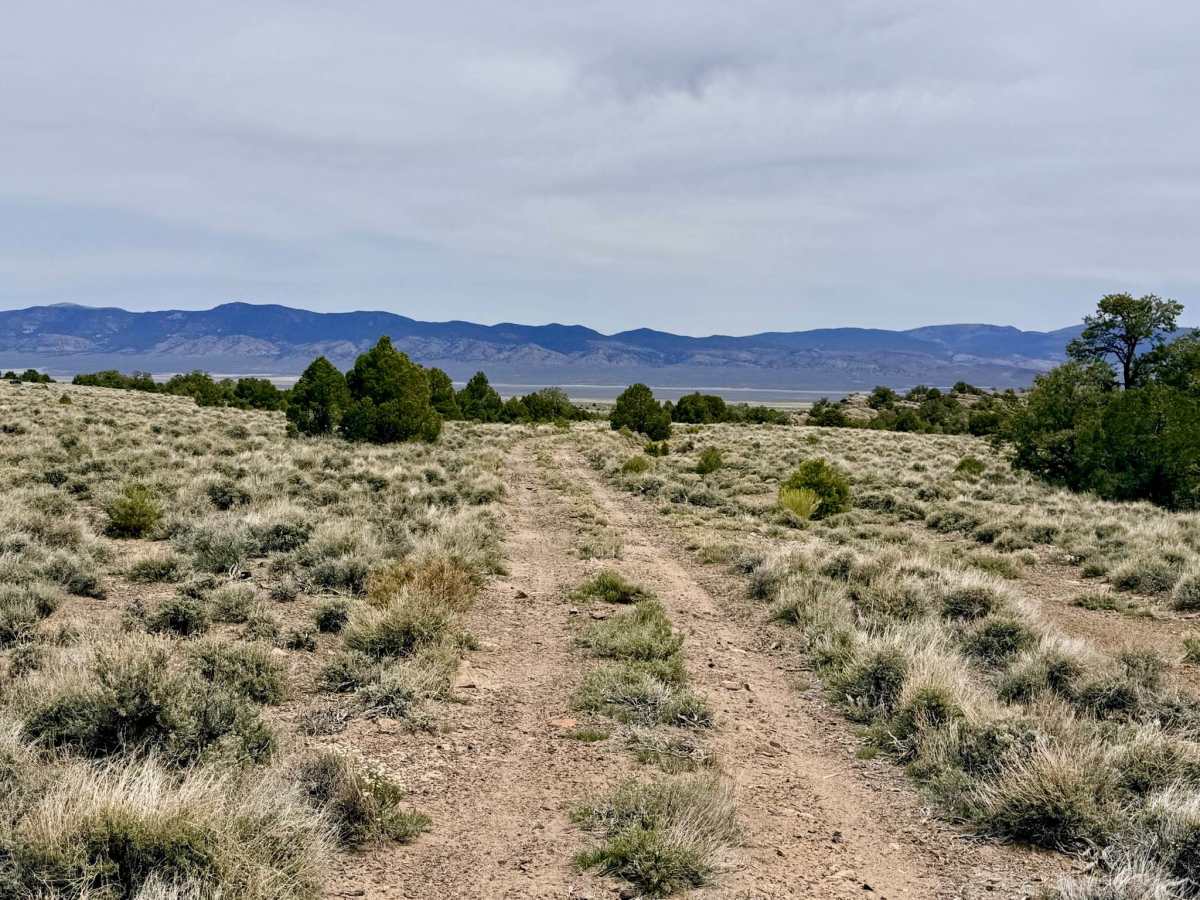 Deer Spring Trail - FS 23201 trail photo
